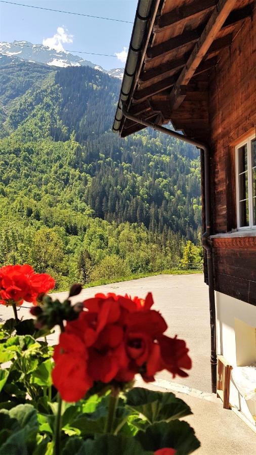 Triftblick Bed & Breakfast Gadmen Екстериор снимка